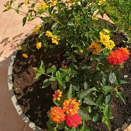 Holiday home Villa Terrasini